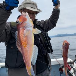 海夢偉 釣果