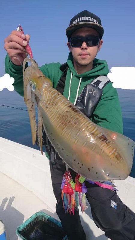 きずなまりん 釣果