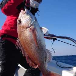 だて丸 釣果