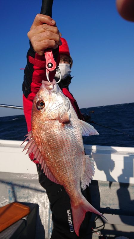 だて丸 釣果