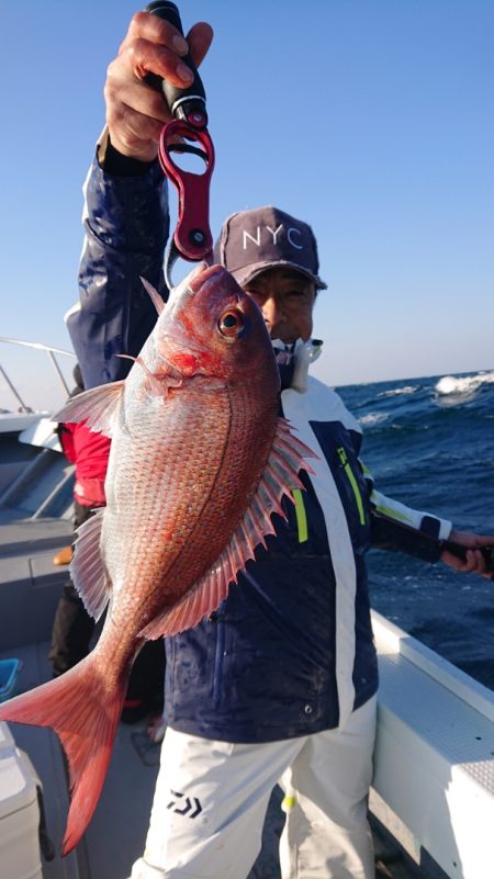 だて丸 釣果