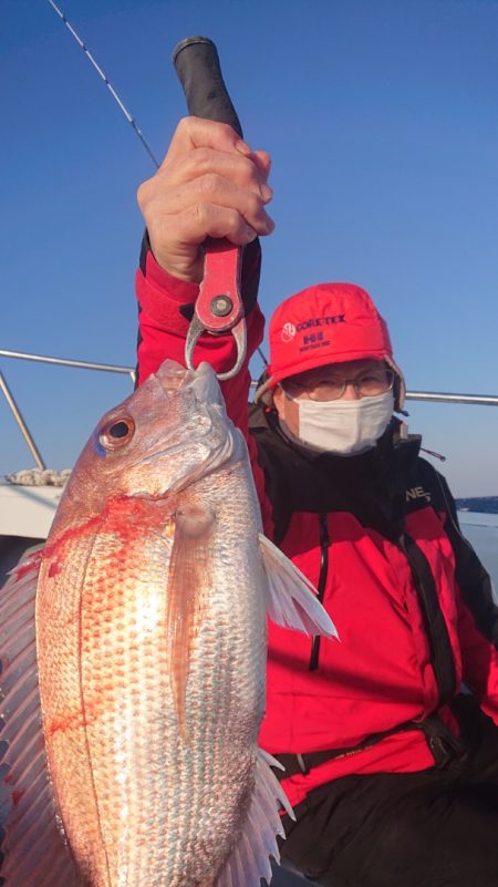 だて丸 釣果