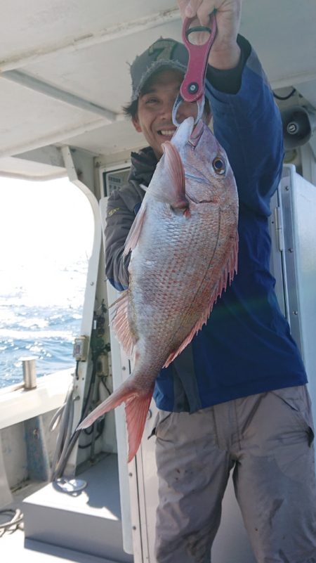 だて丸 釣果