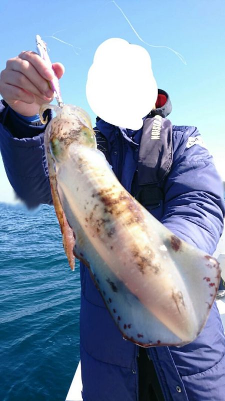 きずなまりん 釣果