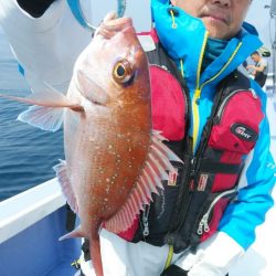 新幸丸 釣果