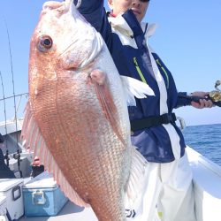 だて丸 釣果