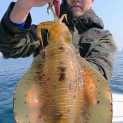 きずなまりん 釣果