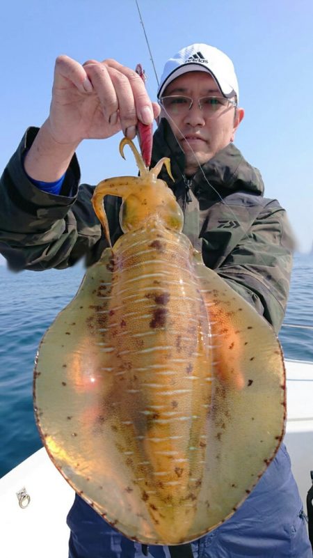 きずなまりん 釣果