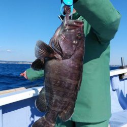 新幸丸 釣果