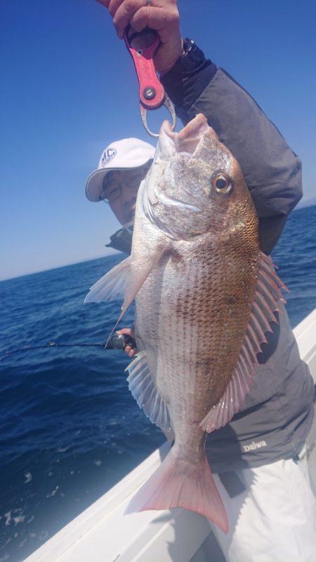 だて丸 釣果