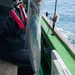 小島丸 釣果