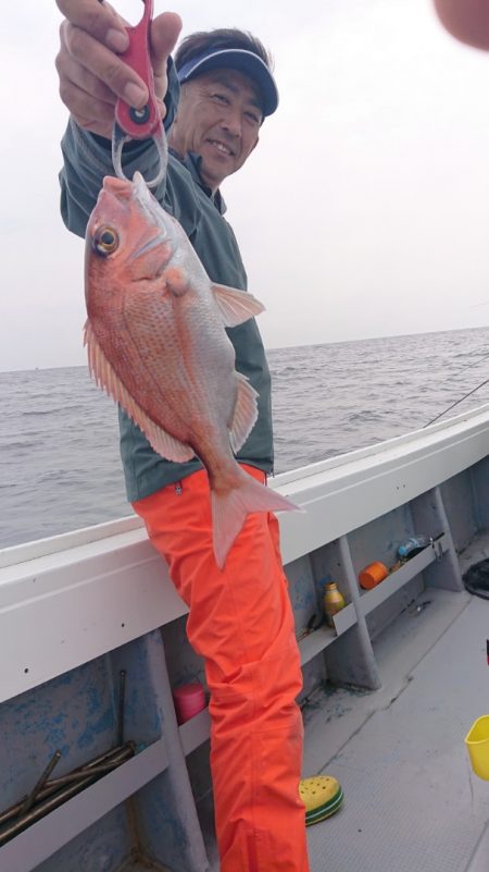 だて丸 釣果