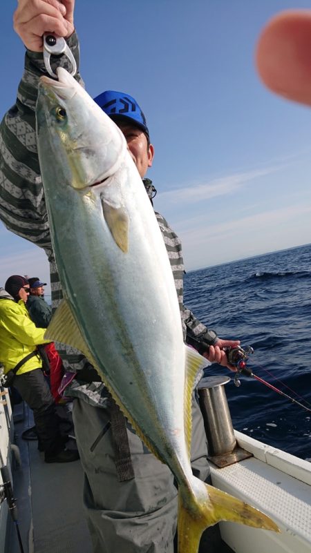 だて丸 釣果