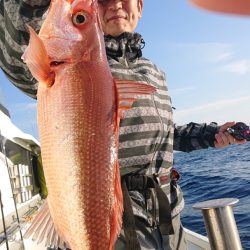 だて丸 釣果