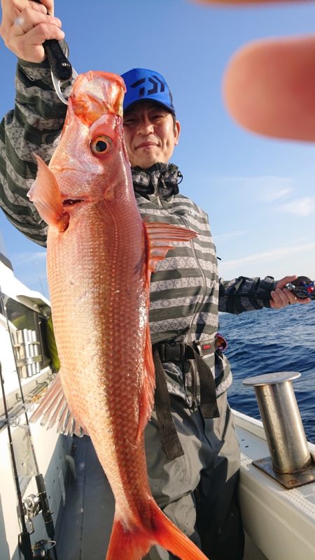 だて丸 釣果