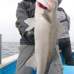 竹宝丸 釣果