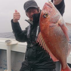 だて丸 釣果