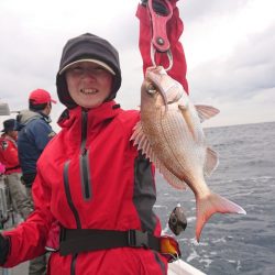 だて丸 釣果