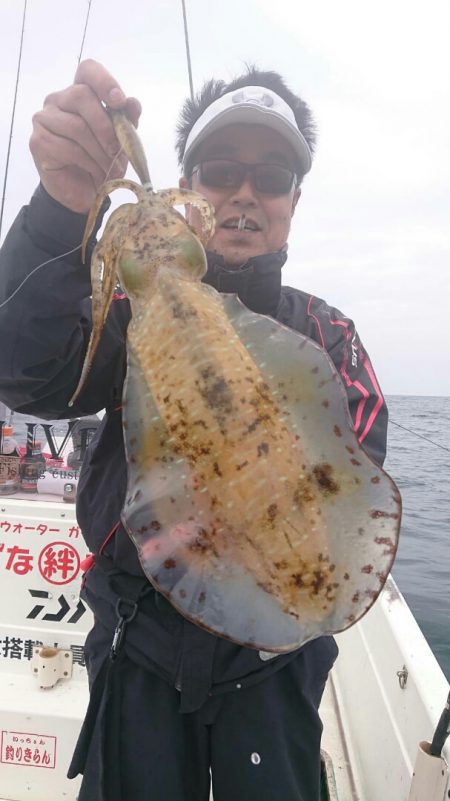 きずなまりん 釣果