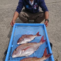 第三共栄丸 釣果