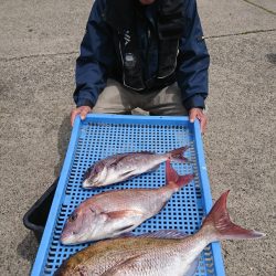 第三共栄丸 釣果