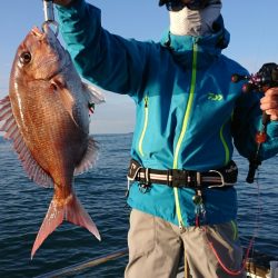 鷹王丸 釣果