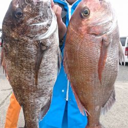 第三共栄丸 釣果