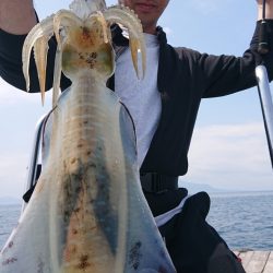 シースナイパー海龍 釣果