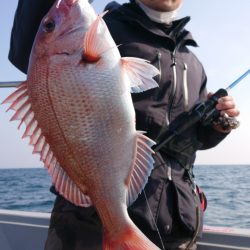 ブルースフィッシングサービス 釣果