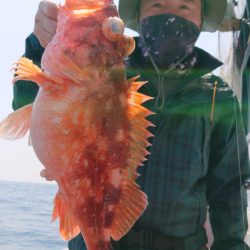 ブルースフィッシングサービス 釣果