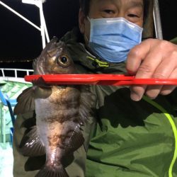 ヤザワ渡船 釣果