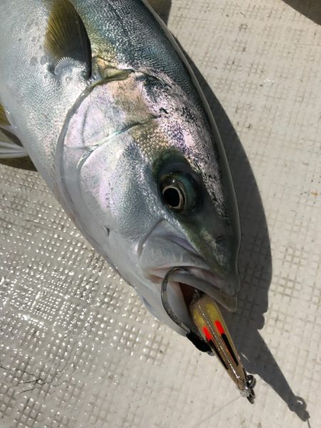 「LaGooN」蒼陽丸 日和号　 釣果