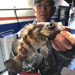 ヤザワ渡船 釣果