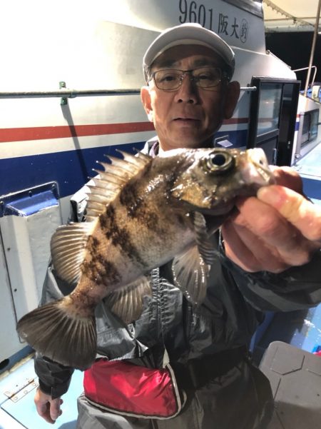 ヤザワ渡船 釣果