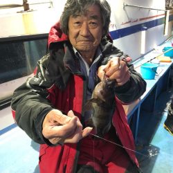 ヤザワ渡船 釣果