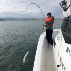 うさぎ丸 釣果