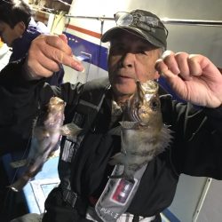 ヤザワ渡船 釣果