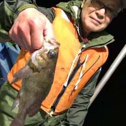 ヤザワ渡船 釣果