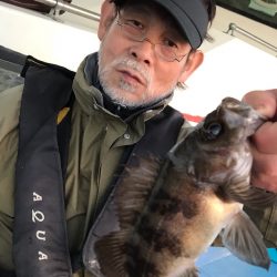 ヤザワ渡船 釣果