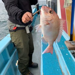 みやけ丸 釣果