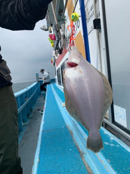 みやけ丸 釣果