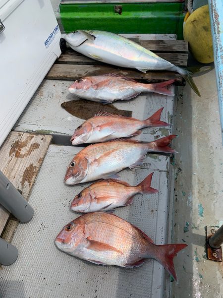 みやけ丸 釣果