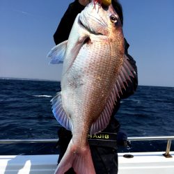 渡船屋たにぐち 釣果