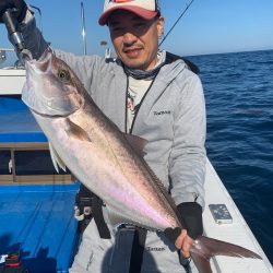 釣鯛洋 釣果