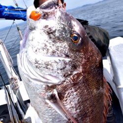 渡船屋たにぐち 釣果