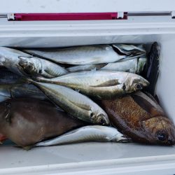 海龍丸（石川） 釣果