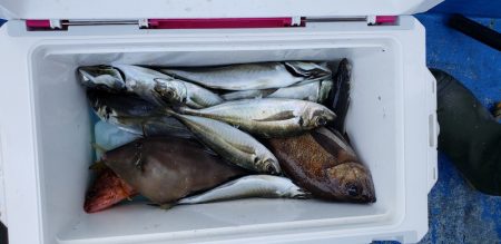 海龍丸（石川） 釣果