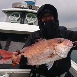 だて丸 釣果