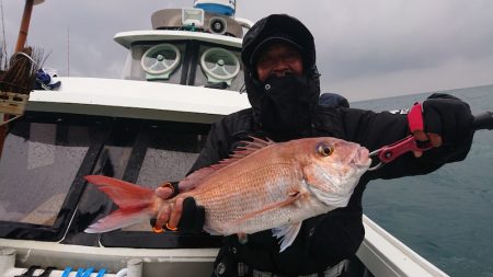 だて丸 釣果