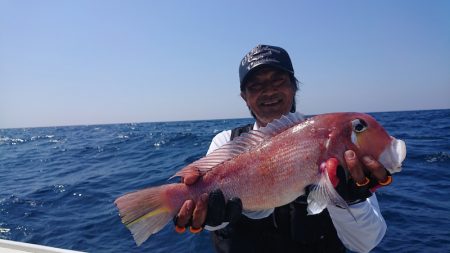 だて丸 釣果